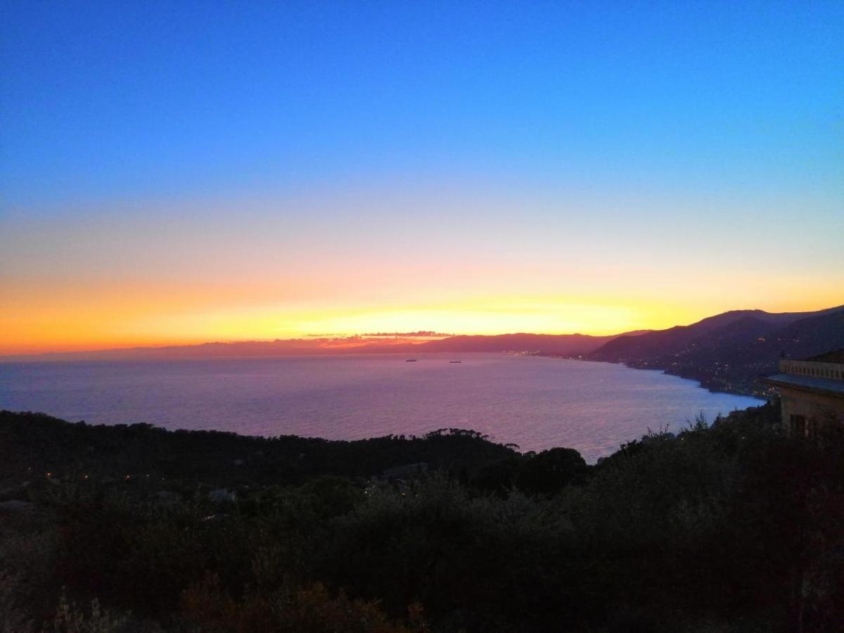 La Casa Che T'Ama A Ruta Di Camogli Villa Eksteriør bilde